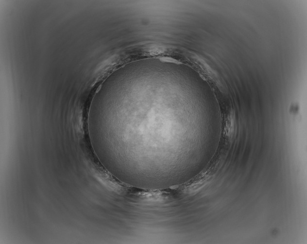 X0000097460524200802221217