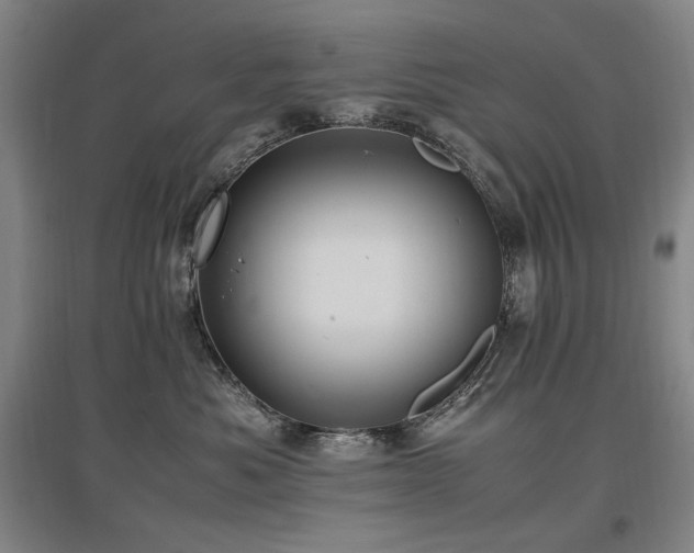 X0000097460525200802221217