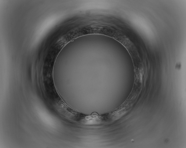 X0000097460526200802221216