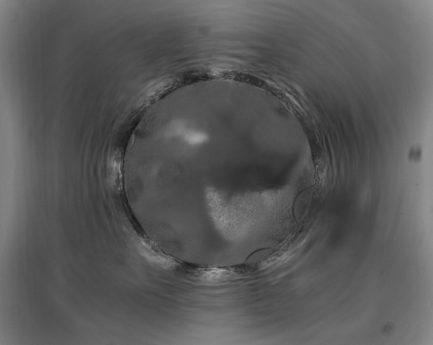 X0000097460527200802221216
