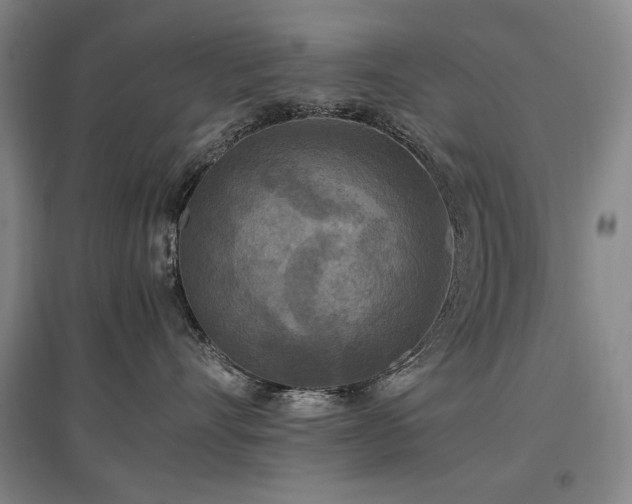 X0000097460528200802221216
