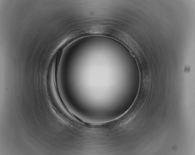 X0000097460530200802221216