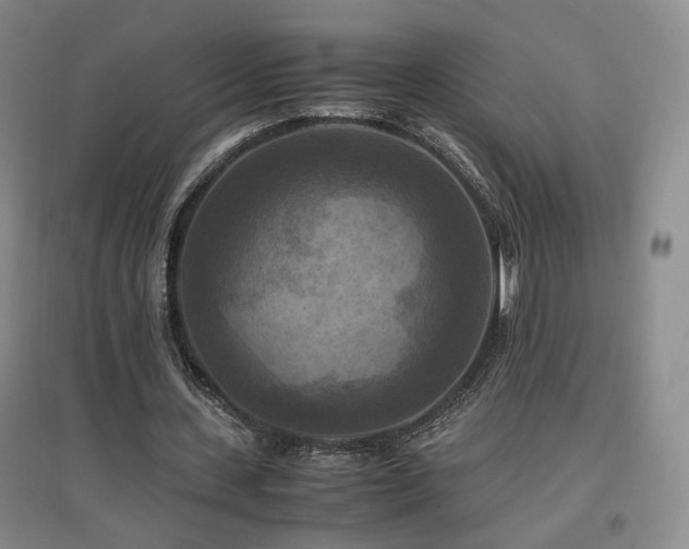 X0000097460531200802221216
