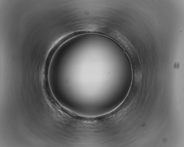 X0000097460532200802221216