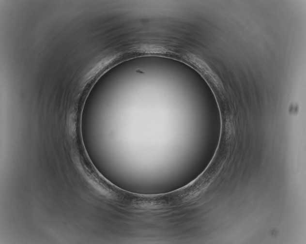 X0000097460533200802221216