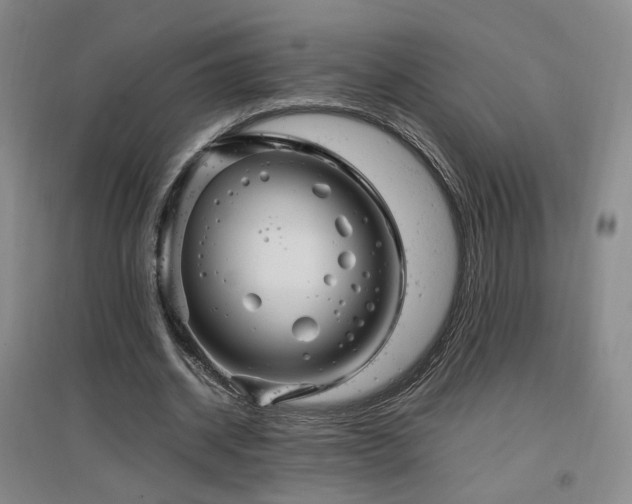 X0000097460534200802221216