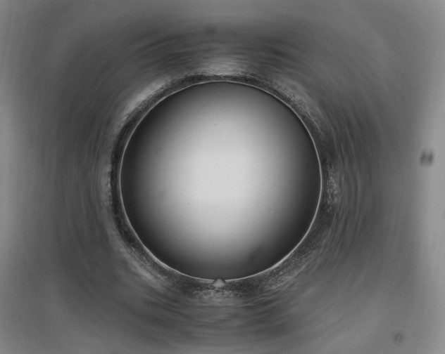 X0000097460535200802221216