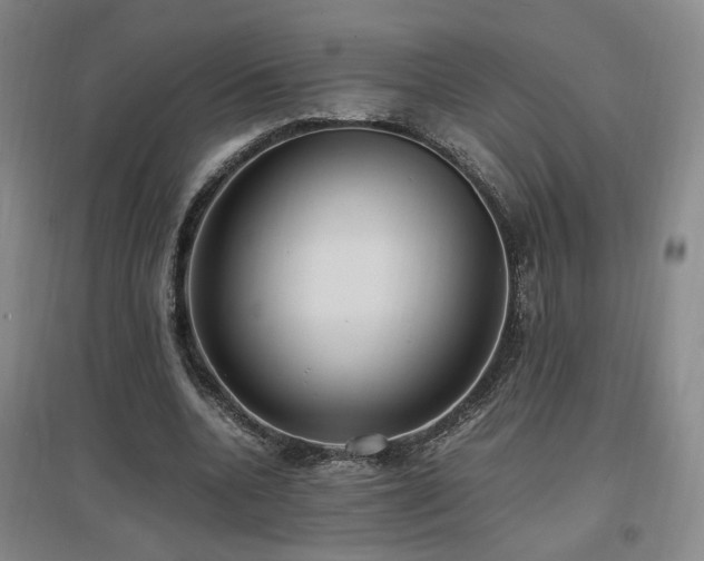 X0000097460536200802221216