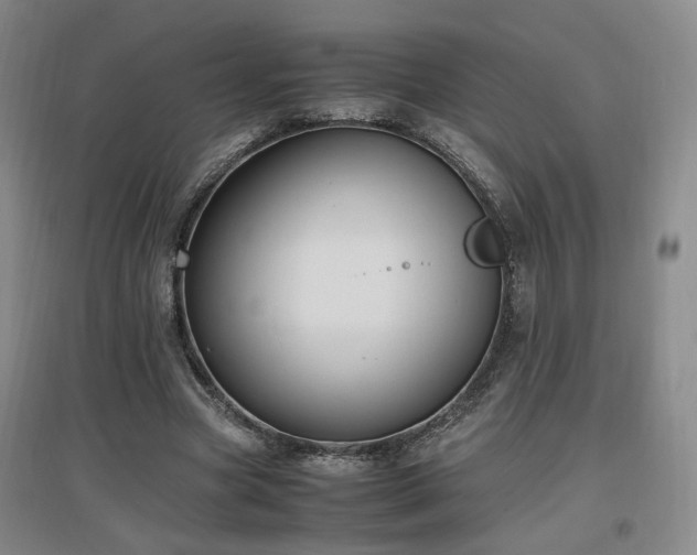 X0000097460537200802221216