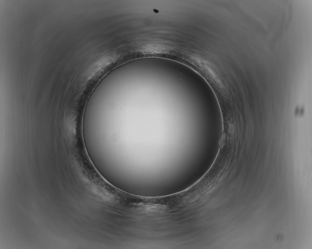 X0000097460539200802221216