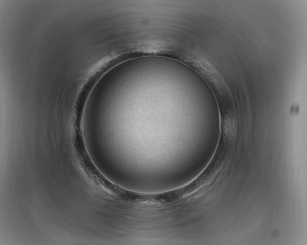 X0000097460540200802221216