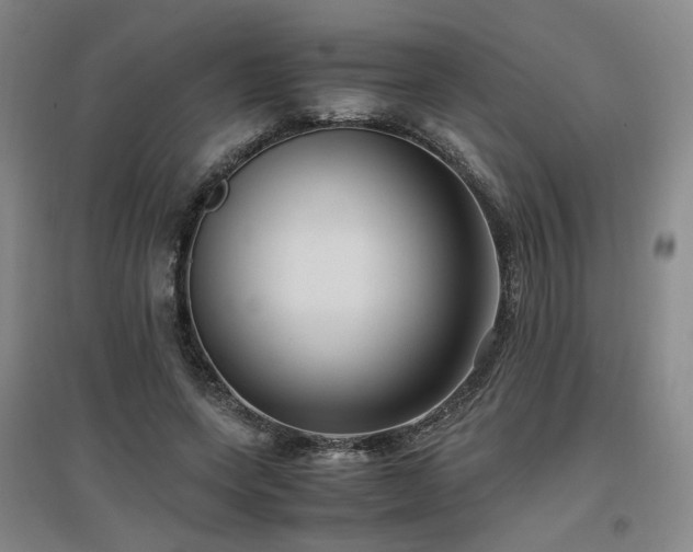 X0000097460543200802221216