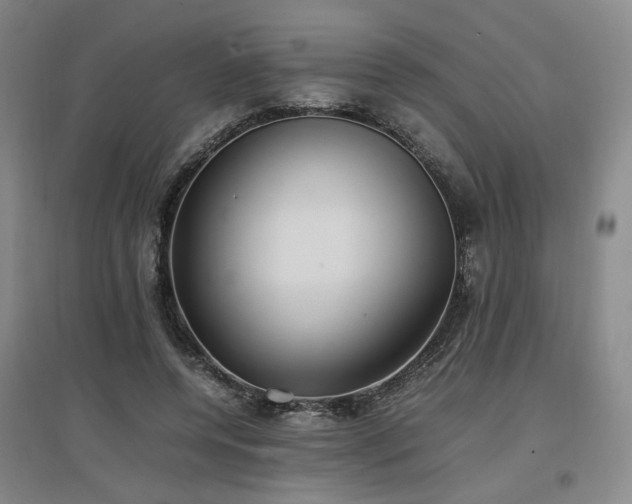 X0000097460544200802221216
