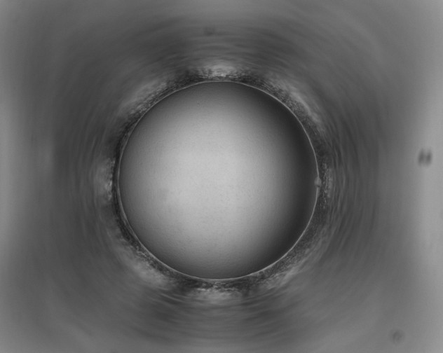 X0000097460545200802221216