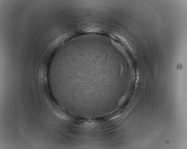 X0000097460547200802221216