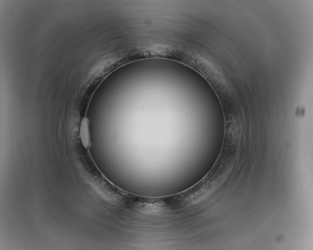 X0000097460548200802221216
