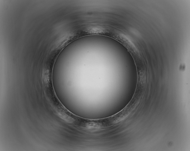 X0000097460549200802221216