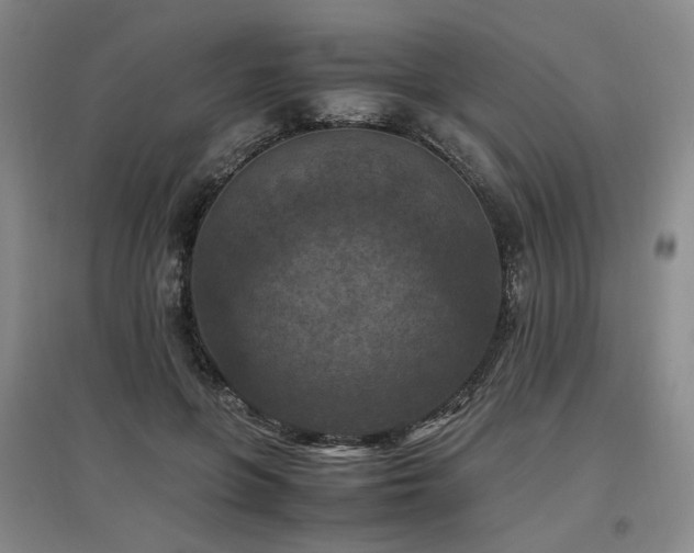 X0000097460551200802221216