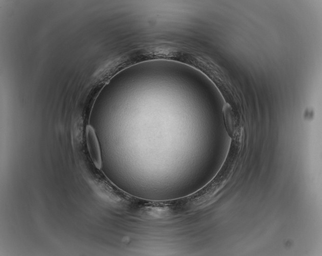 X0000097460552200802221216