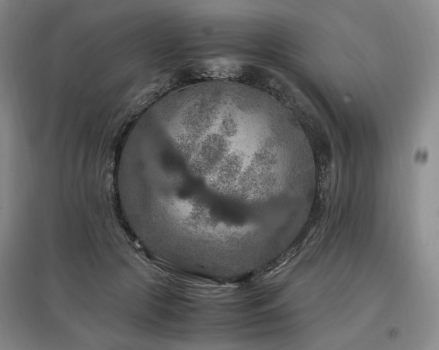 X0000097460553200802221216