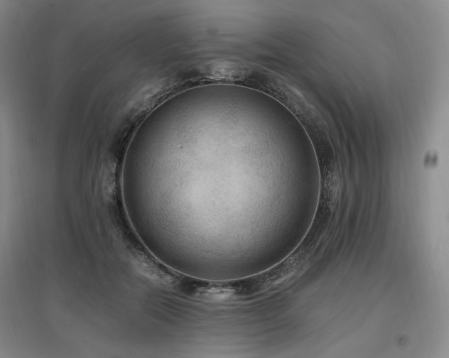 X0000097460554200802221216