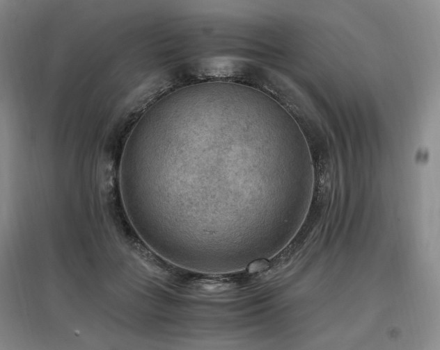 X0000097460555200802221216