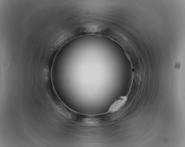 X0000097460556200802221216