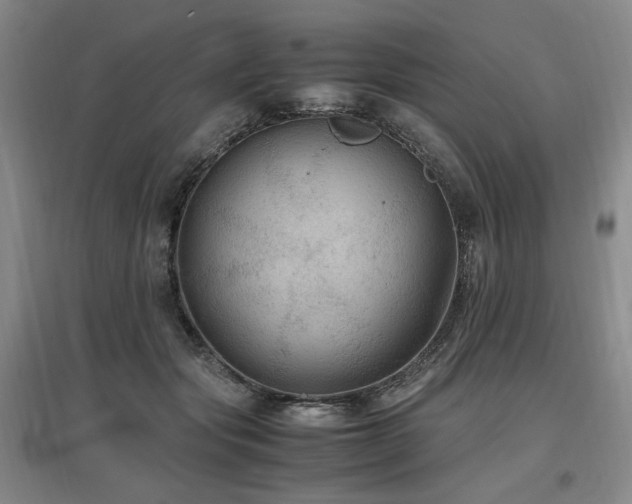 X0000097460557200802221216