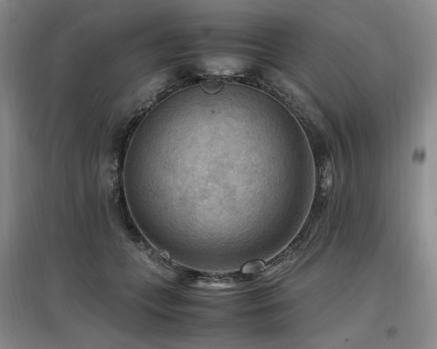 X0000097460559200802221216