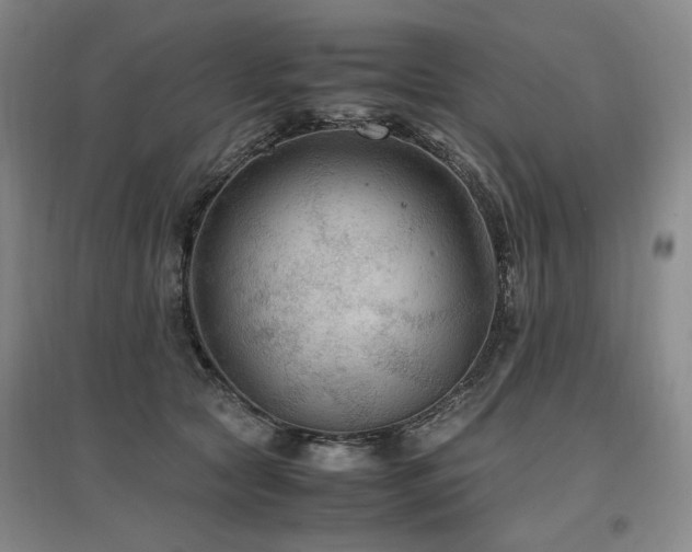 X0000097460561200802221216