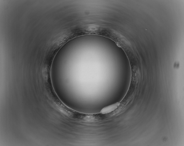 X0000097460562200802221216