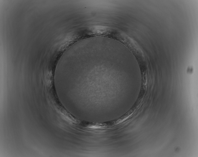 X0000097460563200802221216