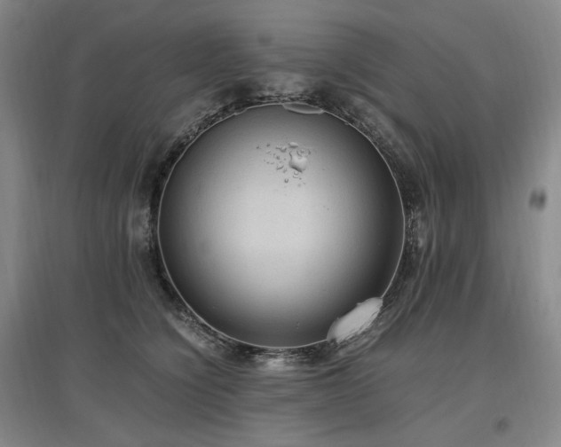 X0000097460564200802221216