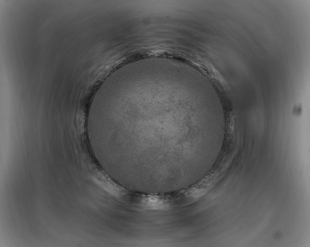 X0000097460565200802221216