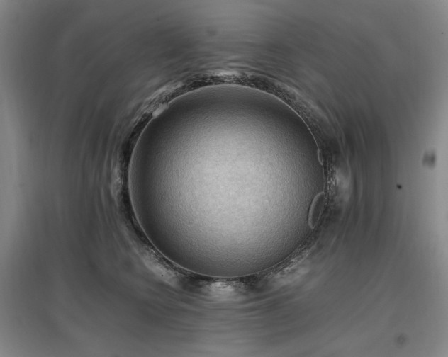 X0000097460566200802221216