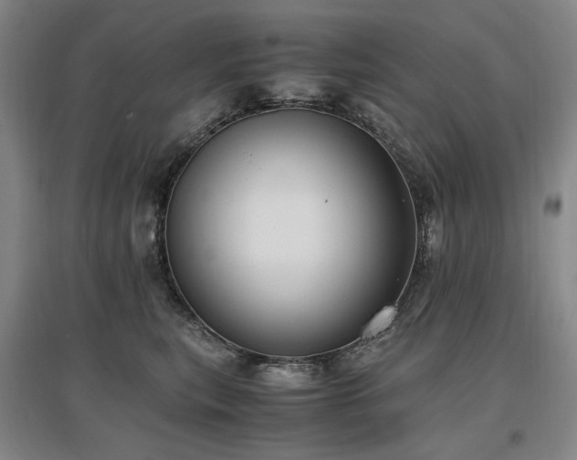 X0000097460567200802221216