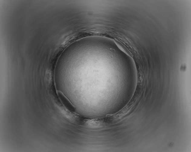 X0000097460568200802221216