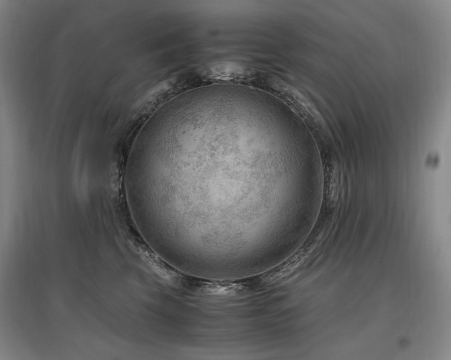 X0000097460569200802221216