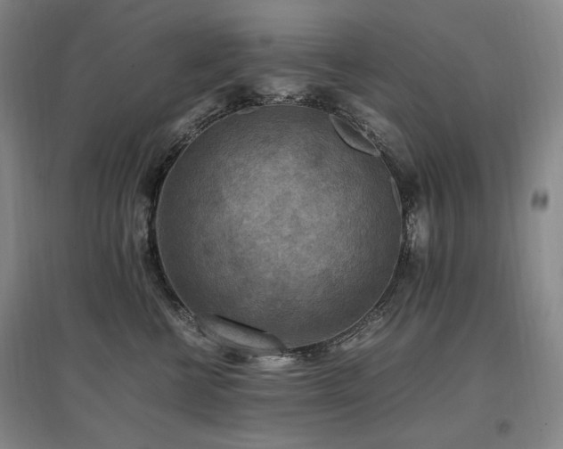 X0000097460570200802221216