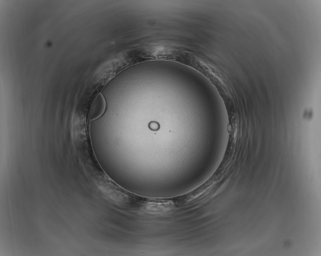 X0000097460571200802221216