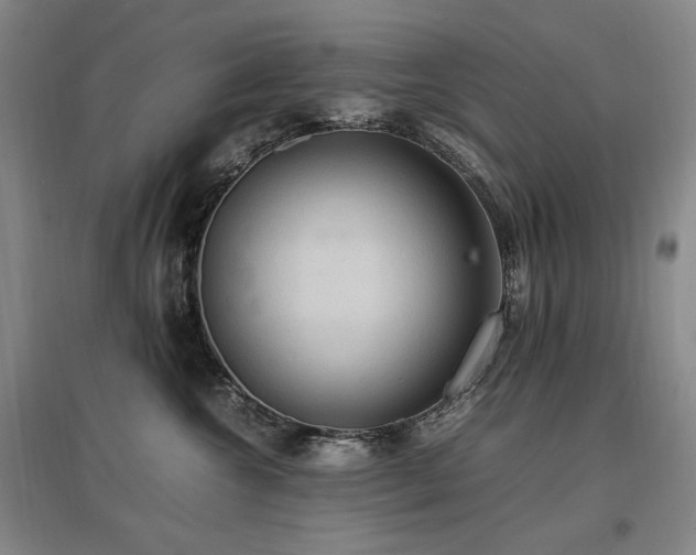 X0000097460572200802221216