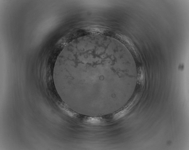 X0000097460573200802221216