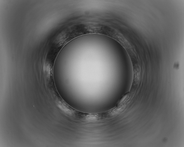 X0000097460574200802221216