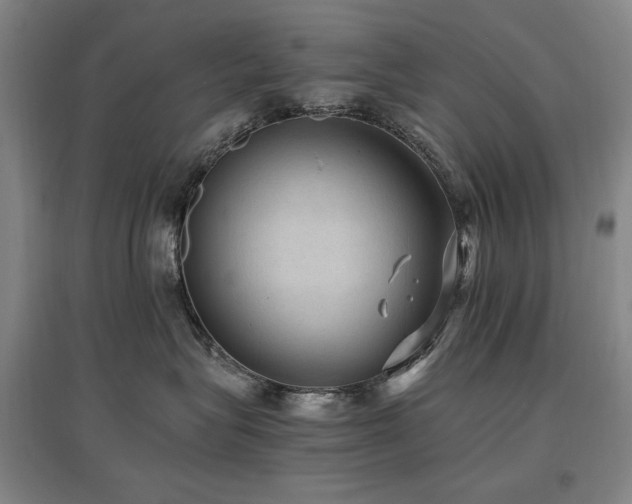 X0000097460575200802221216