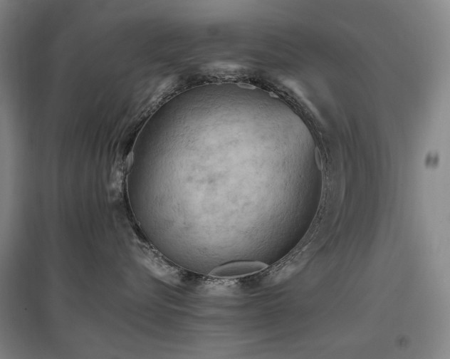 X0000097460576200802221216