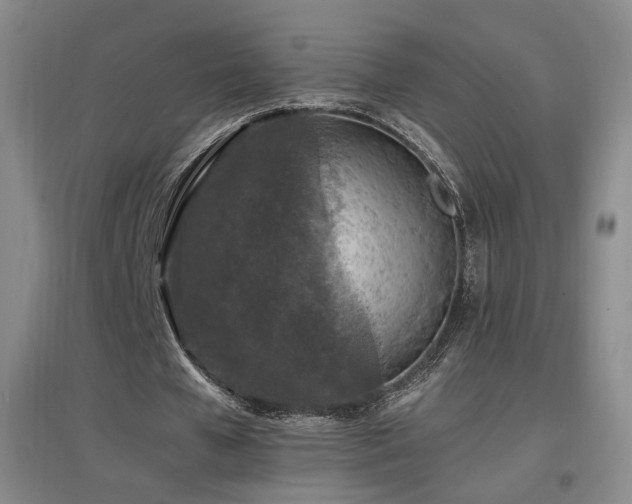X0000097460577200802221216