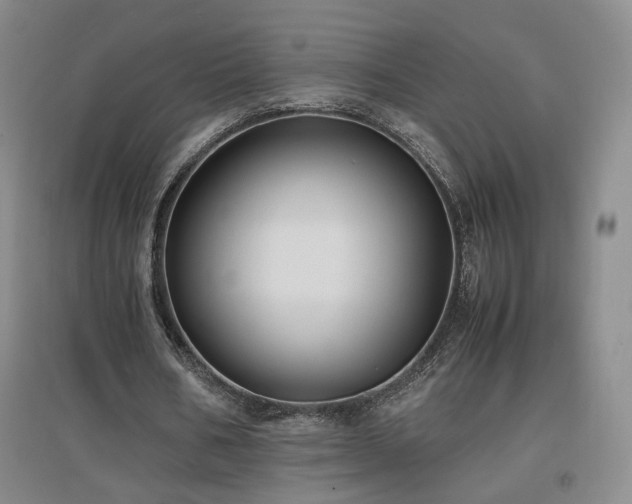 X0000097460578200802221216