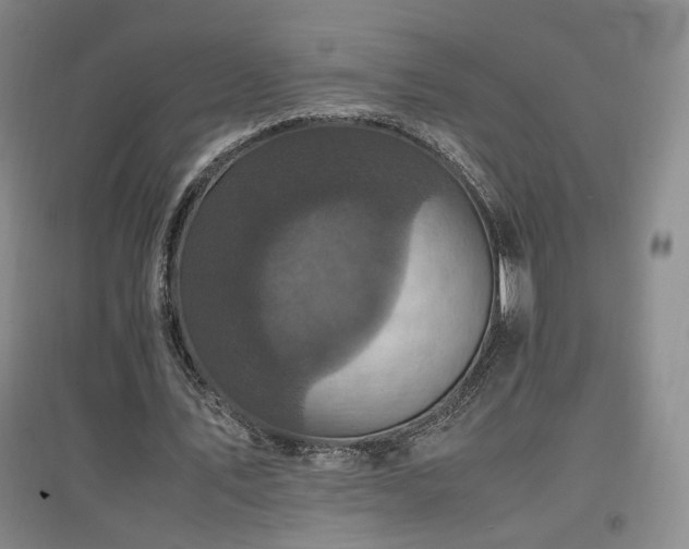 X0000097460579200802221216