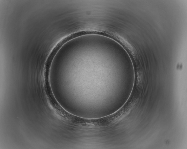 X0000097460580200802221216