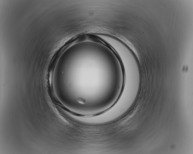 X0000097460581200802221216